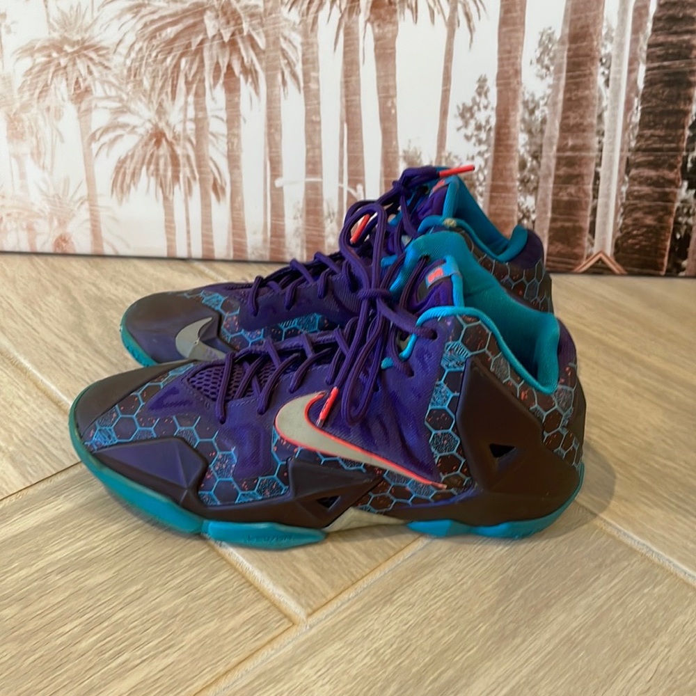 Purple and blue Lebron’s, Size 6.5y, used but great condition
